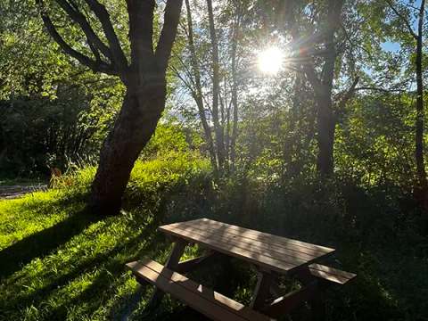 A picnic table is set up outside near the cabin, in a wooded setting.