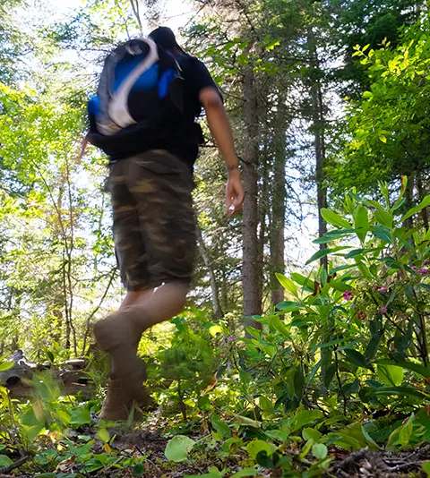 Hiking in the forest at Escapade Kiamika, Laurentides, Quebec