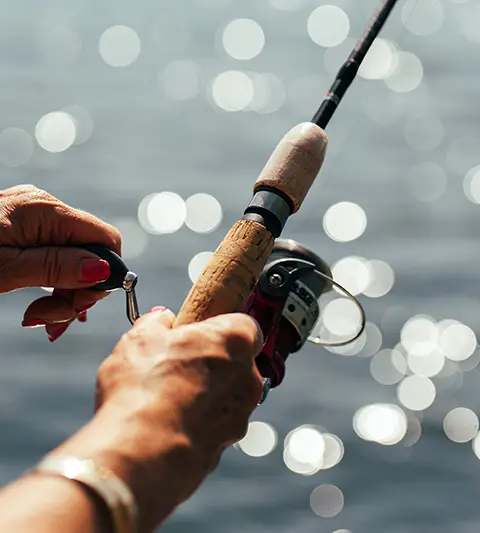 Catch and release of a fish at Escapade Kiamika, Laurentides, Quebec