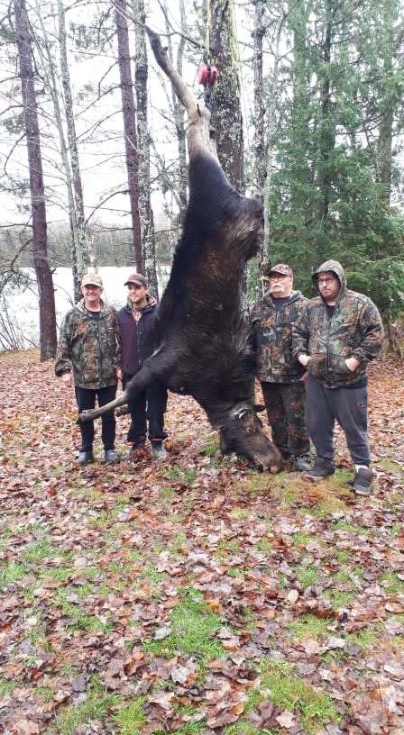 Chasse Ours noir chez Pourvoirie des Trois Lacs 2008, Bas-Saint-Laurent, Québec