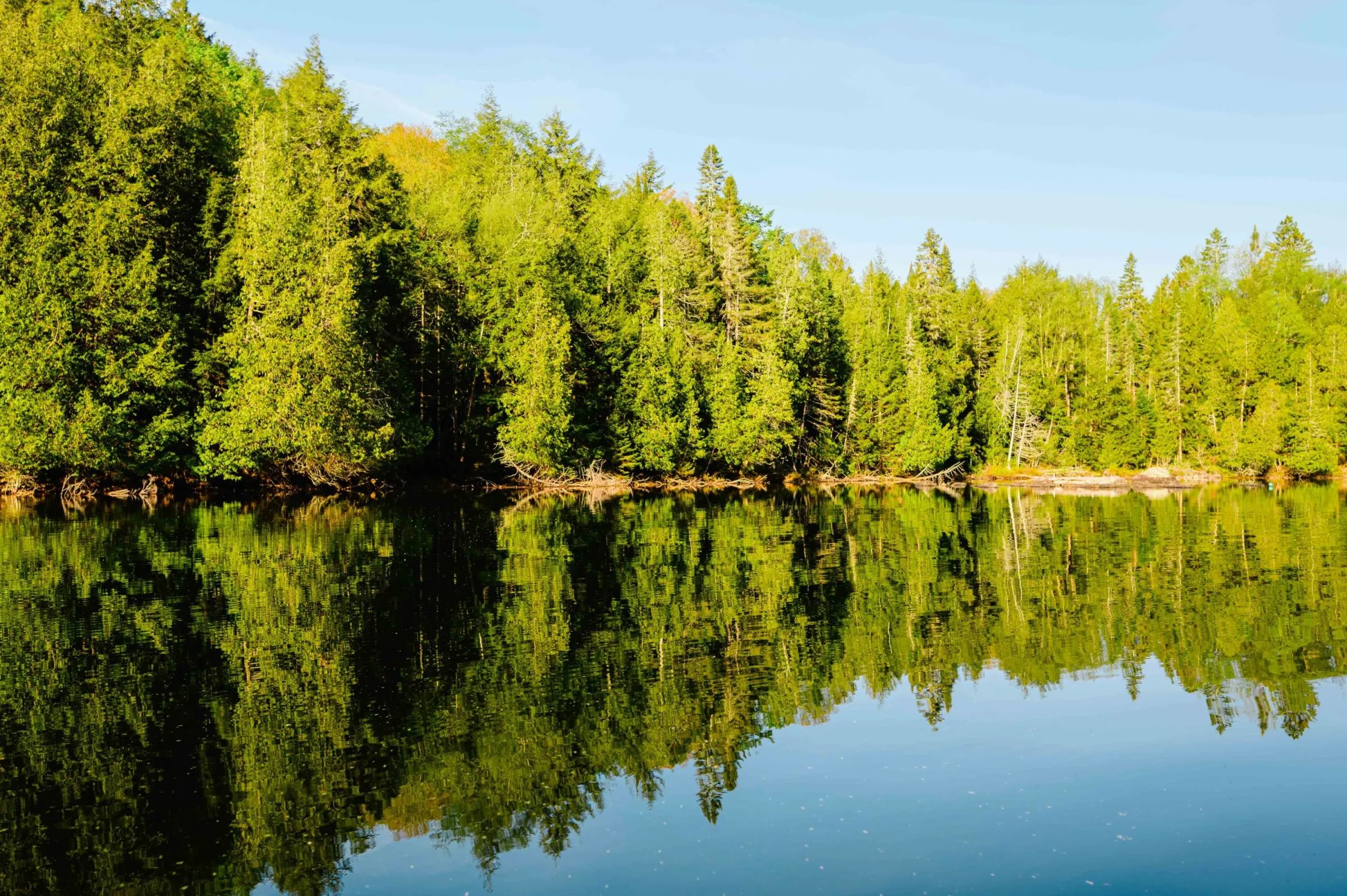 Camping Le Canotier sauvage — Forêt Baera – Forêt Baera