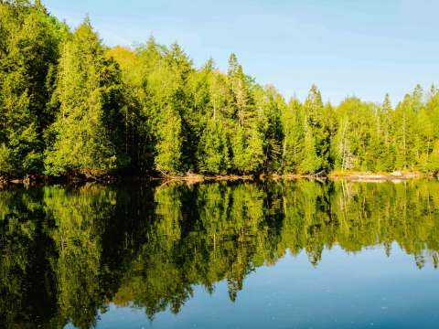 Camping Le Canotier sauvage – Forêt Baera