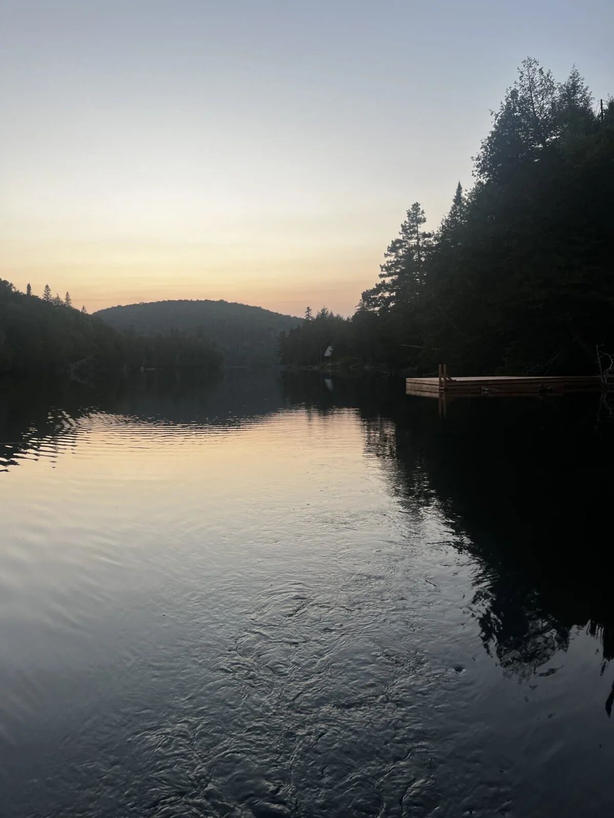 Camping Le Cerf — Forêt Baera – Forêt Baera