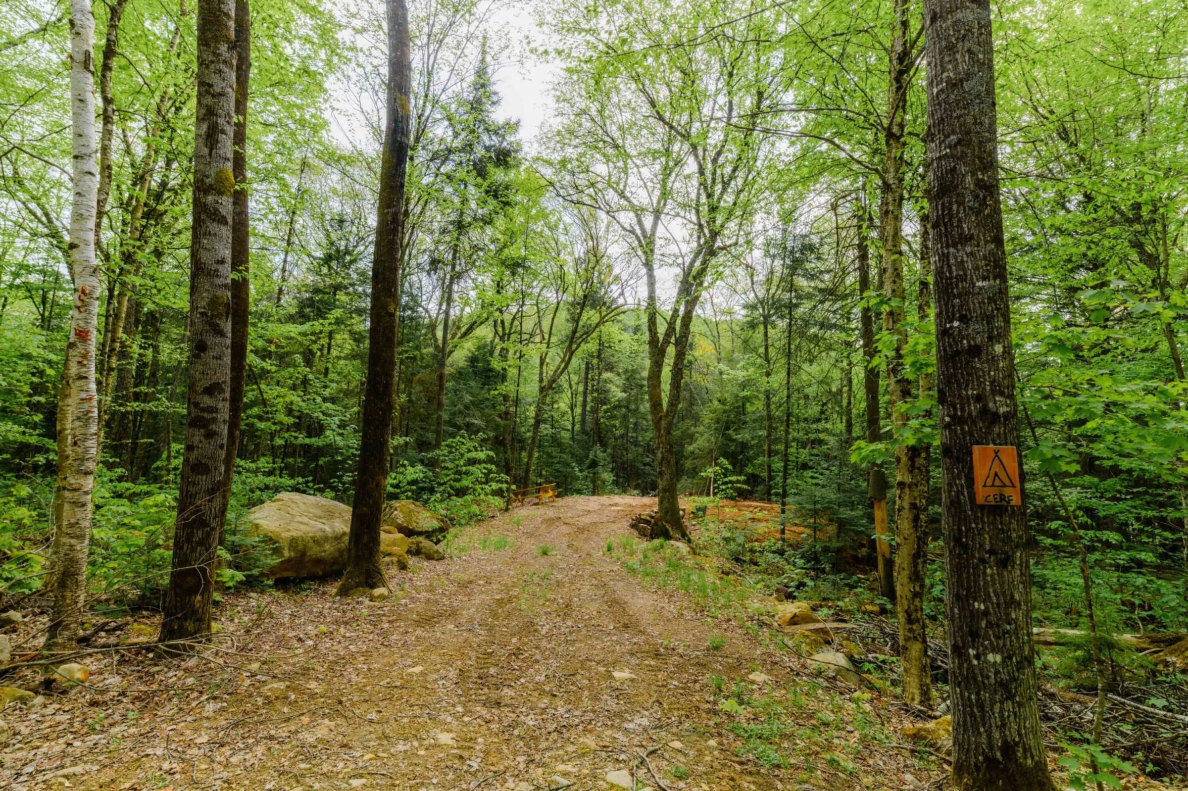 Camping Le Cerf — Forêt Baera – Forêt Baera