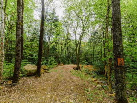 Camping Le Cerf – Forêt Baera