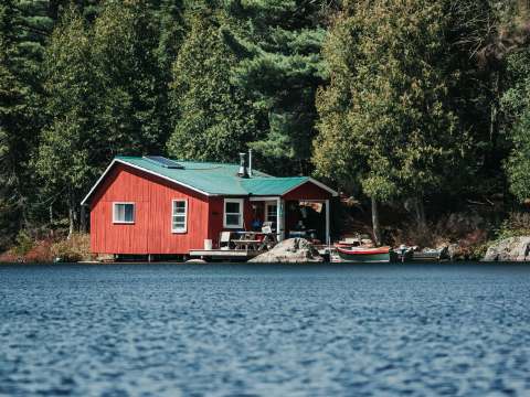 Le Huard – Forêt Baera