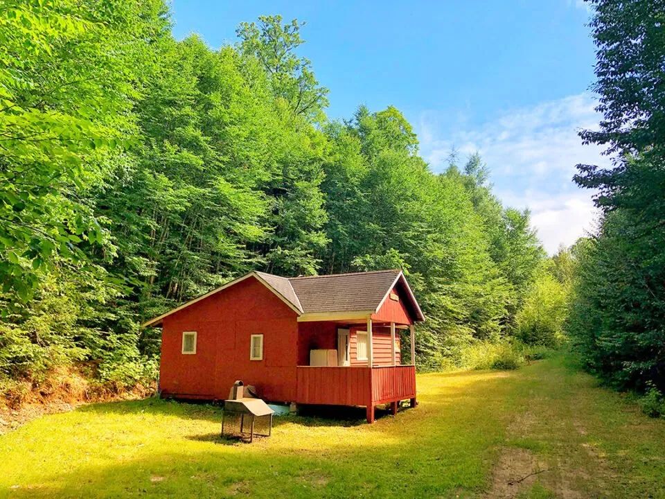 Cabin Le Panache — Forêt Baera – Forêt Baera