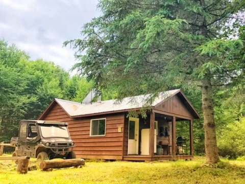Le Renard – Forêt Baera