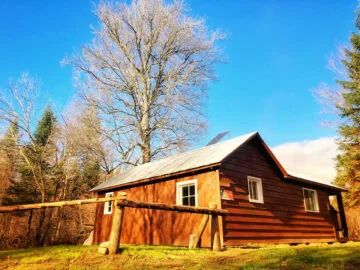 Cabin Le Renard — Forêt Baera – Forêt Baera