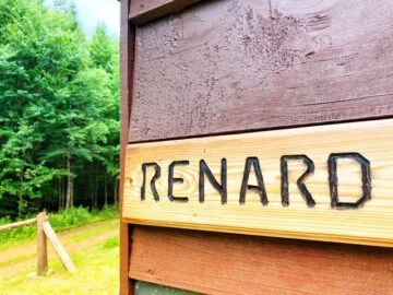 Cabin Le Renard — Forêt Baera – Forêt Baera