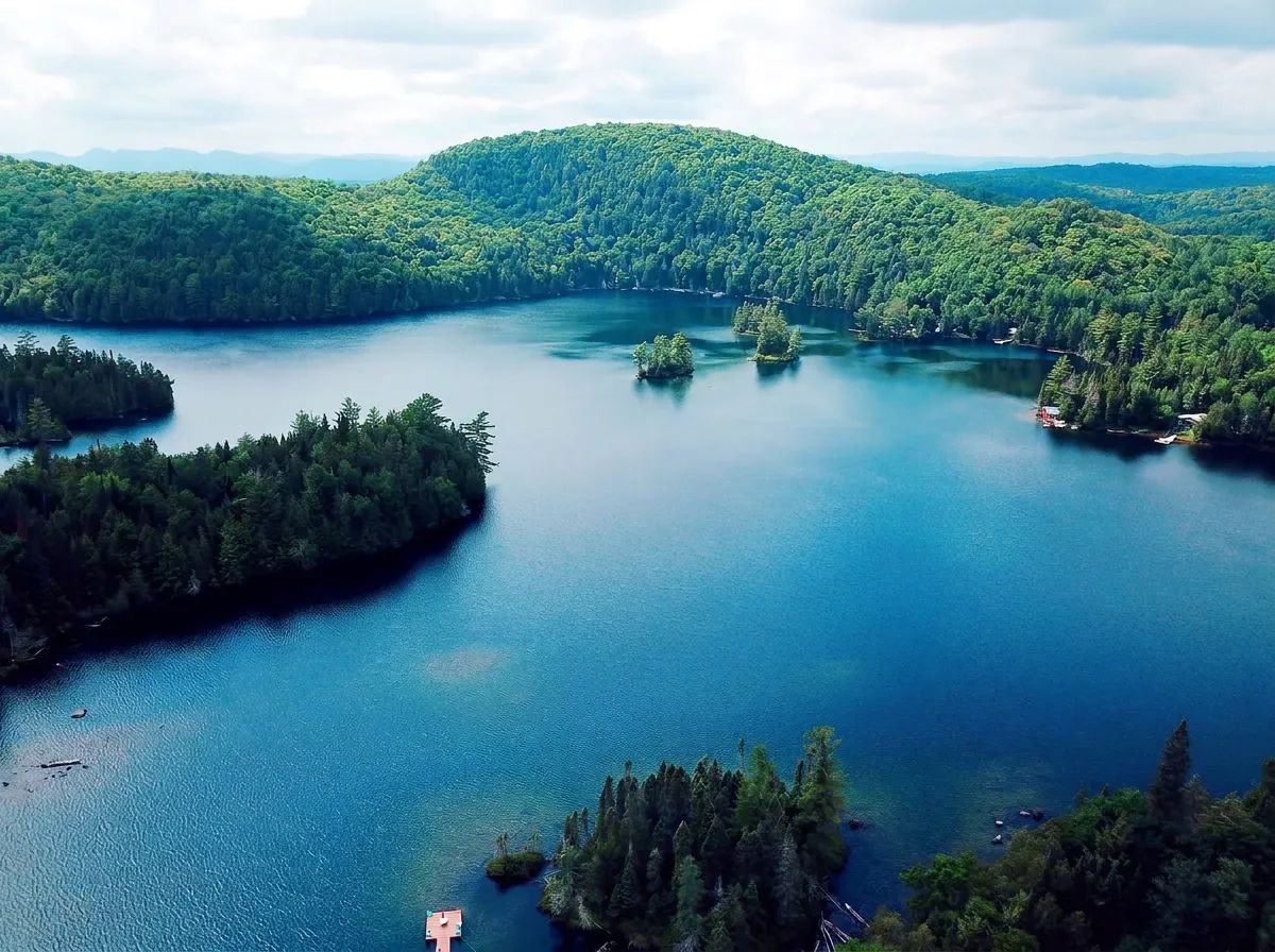 Photo of Forêt Baera in Laurentides, QC