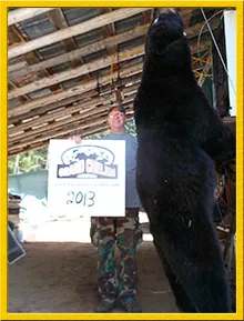 Clay Taylor and his black bear harvest at Grand Chelem Aventure, Abitibi-Témiscamingue, Quebec