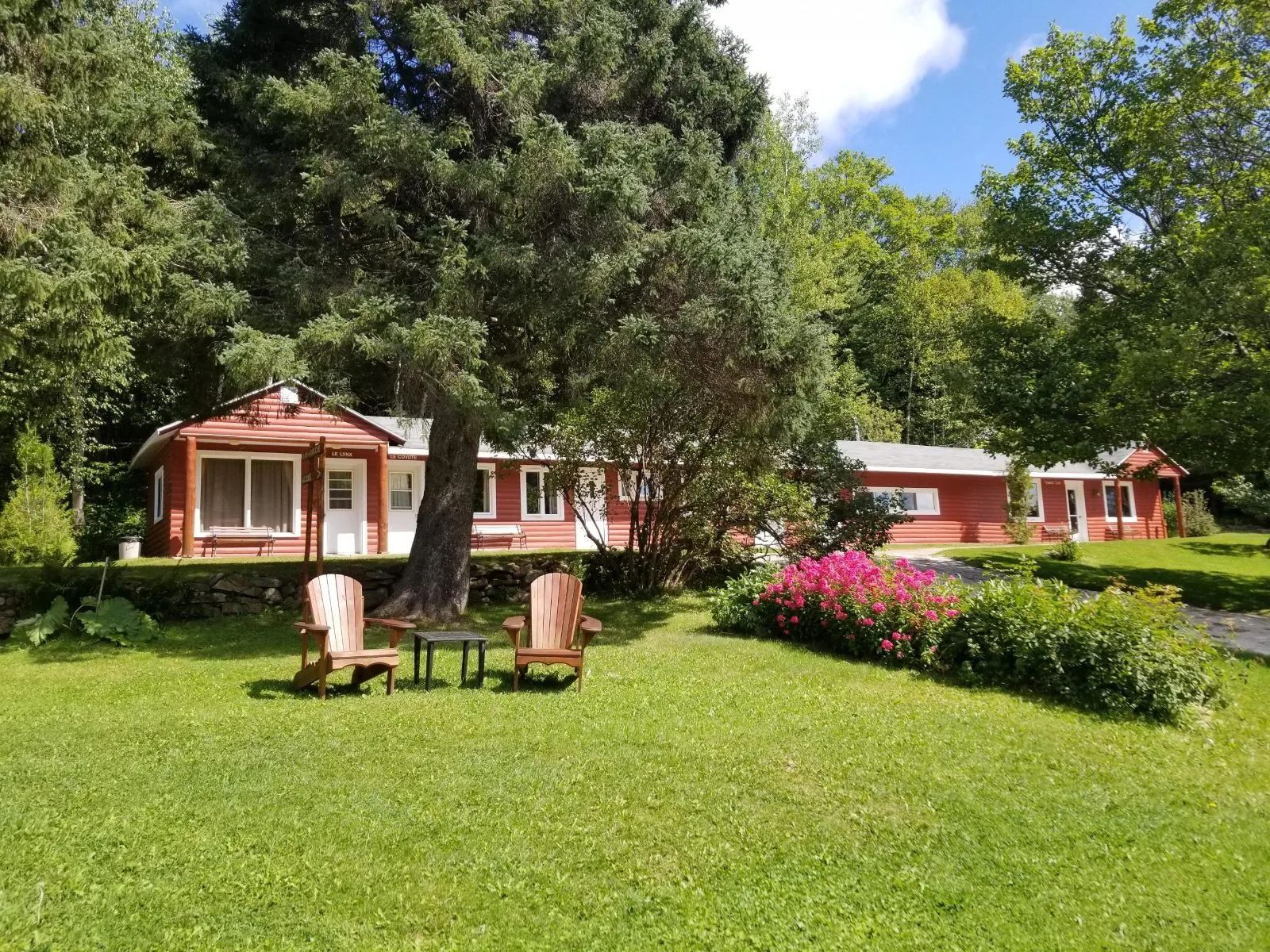 Le Motel Forestier – Kanamouche