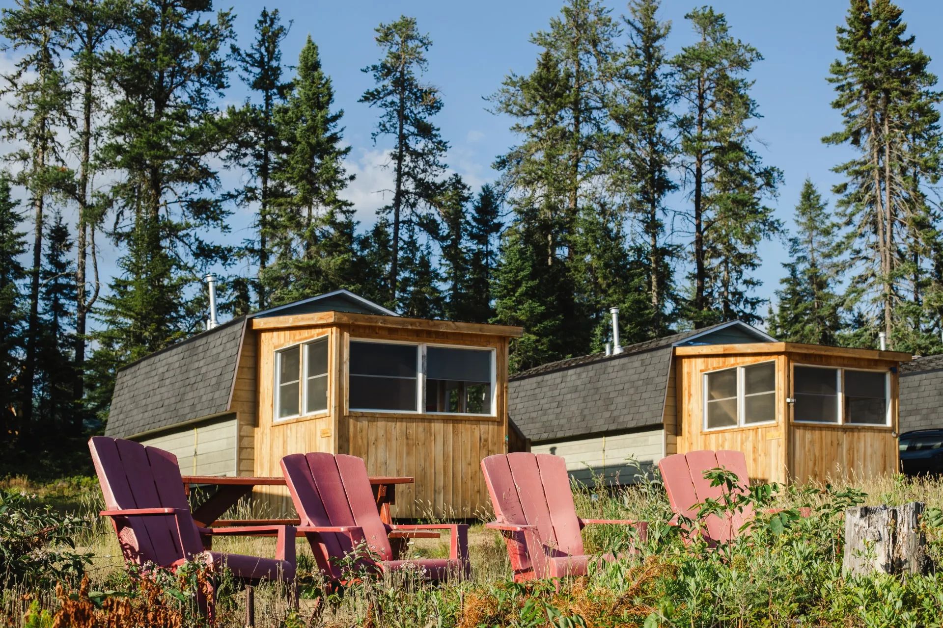 Chaises de détente devant les chalets en bois entourés de forêt.