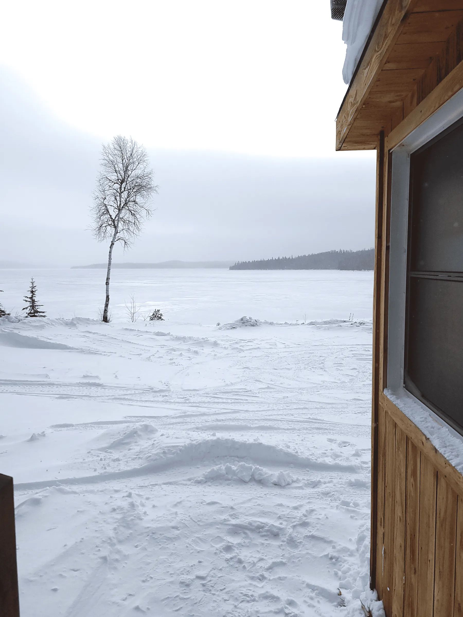 Cabin Duck — Kanawata 2021 – Kanawata 2021