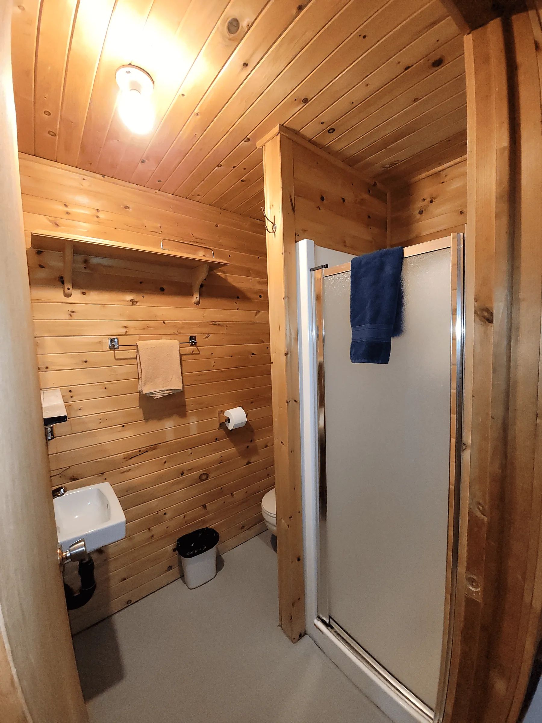 View of the cabin's bathroom with wooden walls, sink, and glass shower.