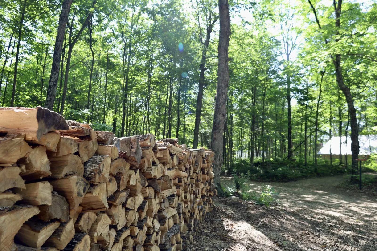 CHALET CYPRÈS – Kenauk Nature