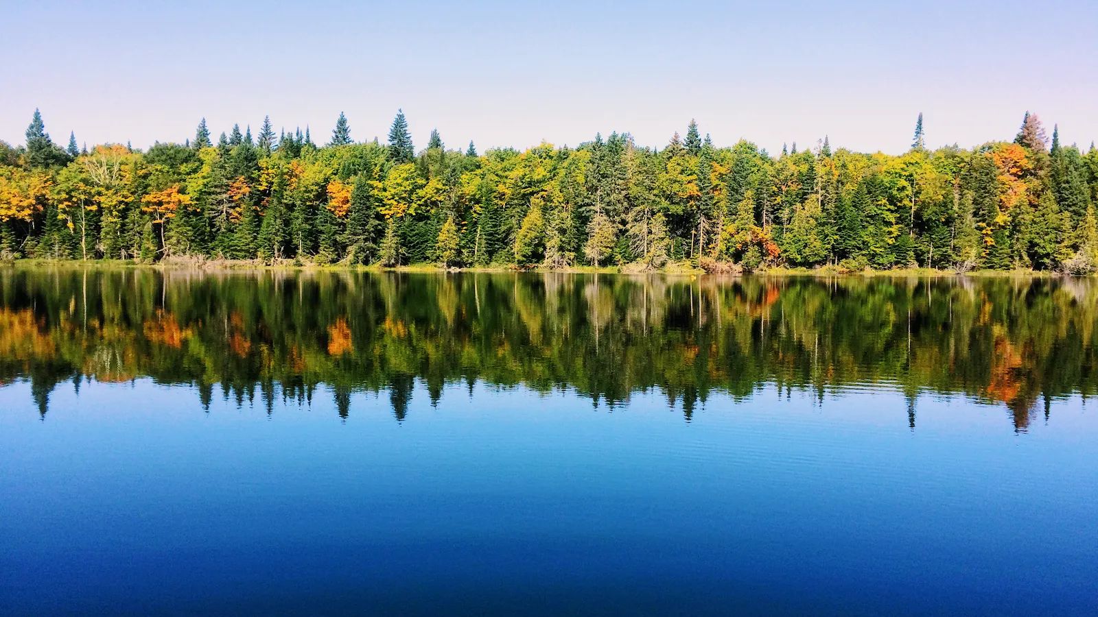 Photo of L'Association des Amis de la Forêt du Lac Anais in Bas-Saint-Laurent, QC