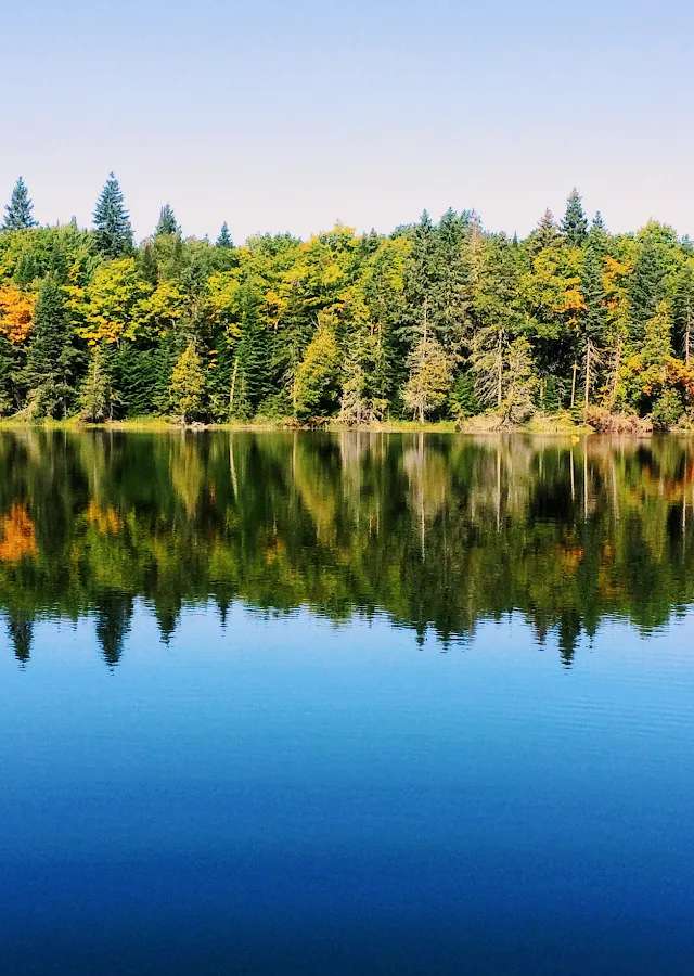 Photo of L'Association des Amis de la Forêt du Lac Anais in Bas-Saint-Laurent, QC