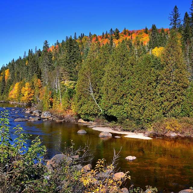 Photo de L'Aventure de l'Ours Noir Qc. au Saguenay-Lac-Saint-Jean, Qc