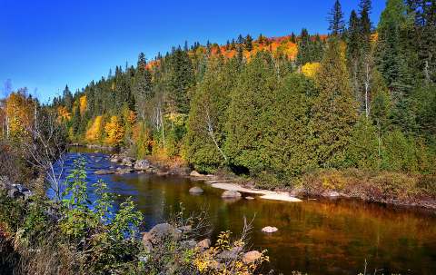 Photo of L'Aventure de l'Ours Noir Qc. in Saguenay–Lac-Saint-Jean, QC