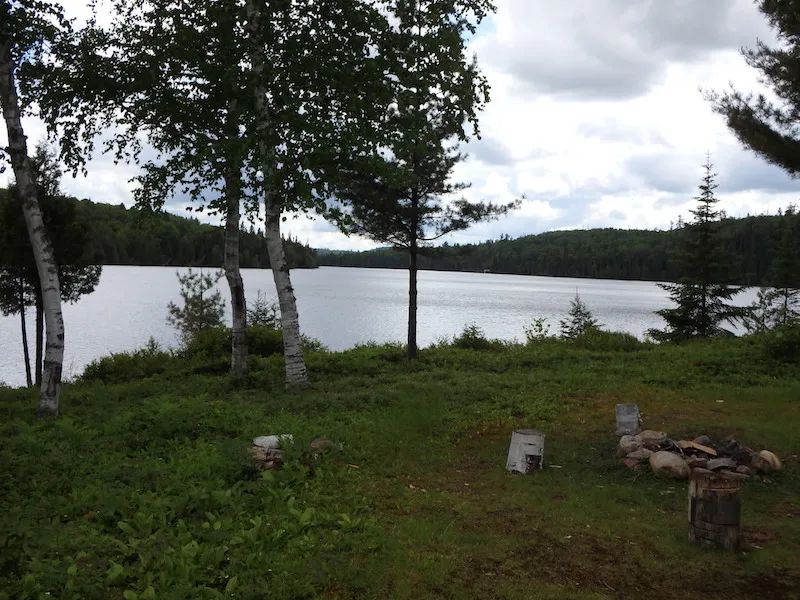 Chalet Fish — L'Aventure du Pro – L'Aventure du Pro