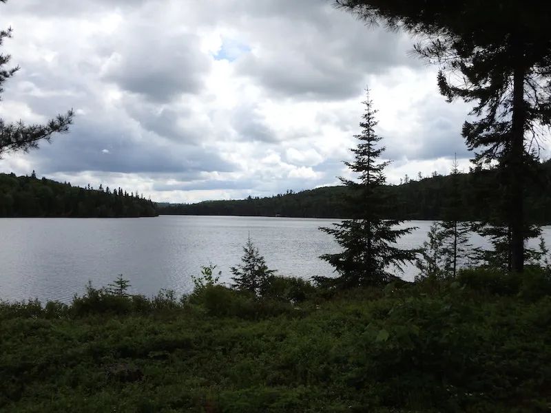 Chalet Fish – L'Aventure du Pro