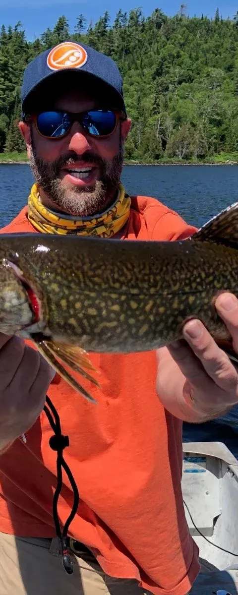 Pêche Truite mouchetée chez L'Aventure du Pro, Outaouais, Québec