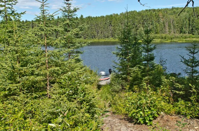 Pinson Cabin — La Pourvoirie Chez Farrar – La Pourvoirie Chez Farrar