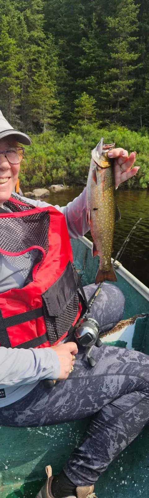 Fishing Brook trout at La Pourvoirie du Lac Laflamme, Saguenay–Lac-Saint-Jean, Quebec