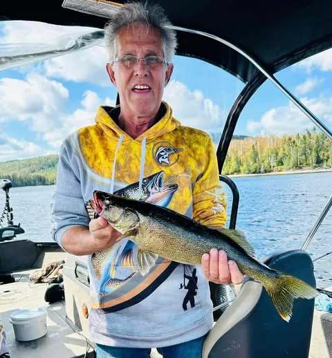 Pêche Doré chez La Pourvoirie du Montagnard, Mauricie, Québec