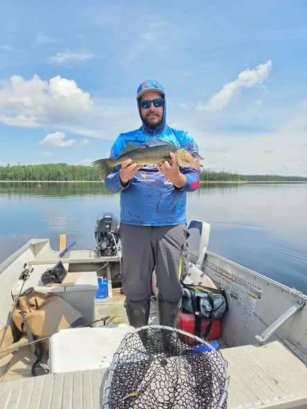 Pêche Doré chez La Pourvoirie du Montagnard, Mauricie, Québec — photo 4