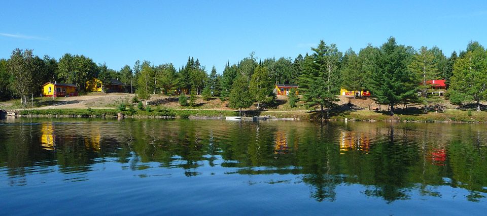 Black bear big game hunting packages — Le Domaine du Shamrock – Le Domaine du Shamrock