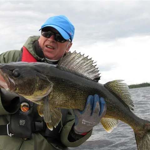 Excursion de pêche sur le lac chez Le Domaine Poutrincourt, Saguenay-Lac-Saint-Jean, Québec