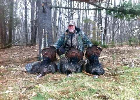 Chasse Dindon sauvage chez Le Picanoc, Outaouais, Québec