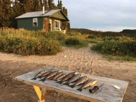 Camp du lac Dubuc – Les Camps Trio