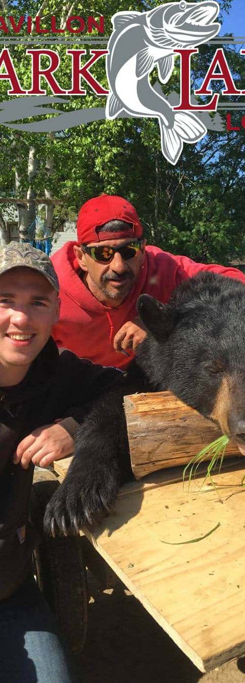 Hunter with a harvested black bear at Pavillon Bark Lake Lodge, Outaouais, Quebec