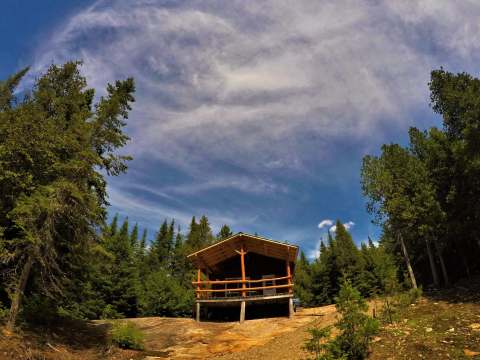 The Bellevue cabin is located in the forest and features a covered deck.