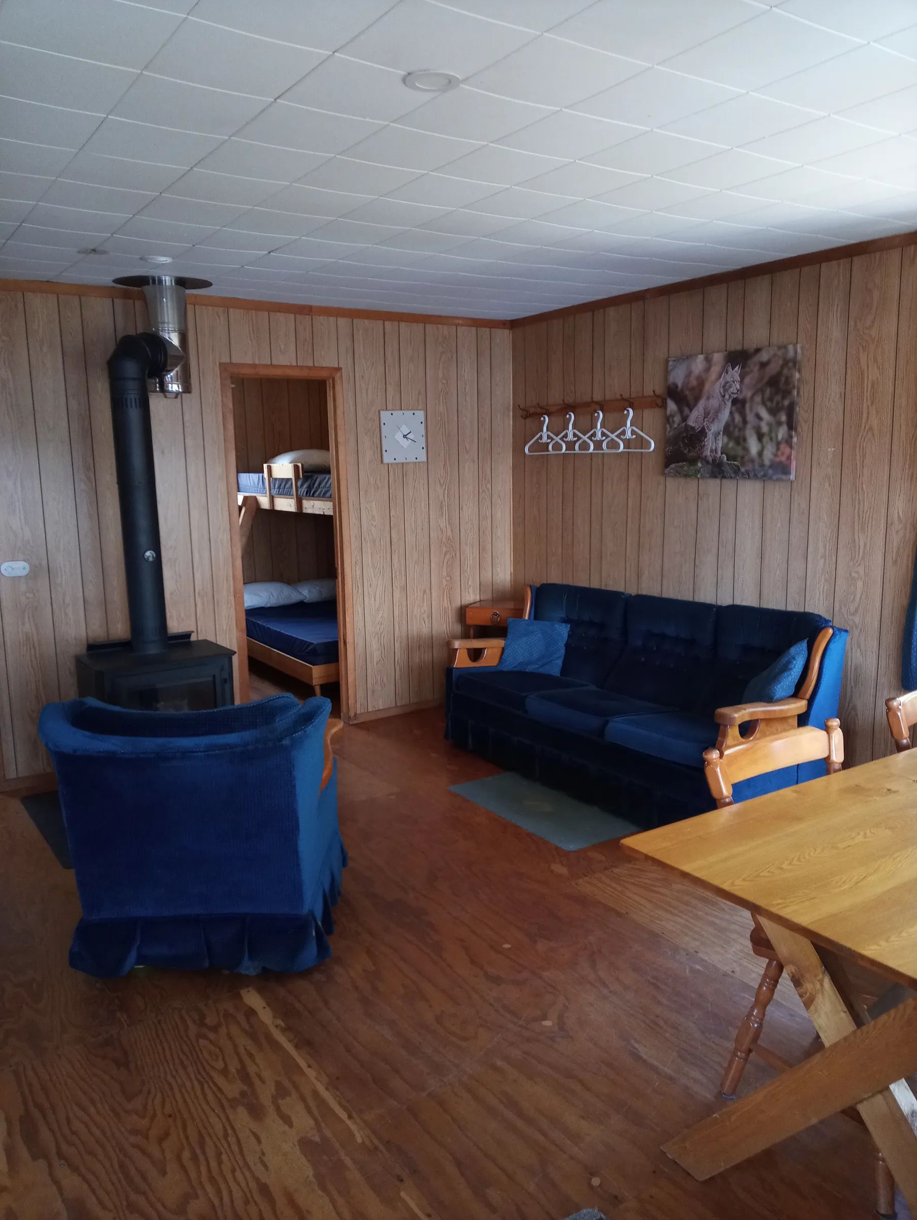 Le salon du chalet Le Lynx est aménagé avec un foyer au bois et des meubles confortables.