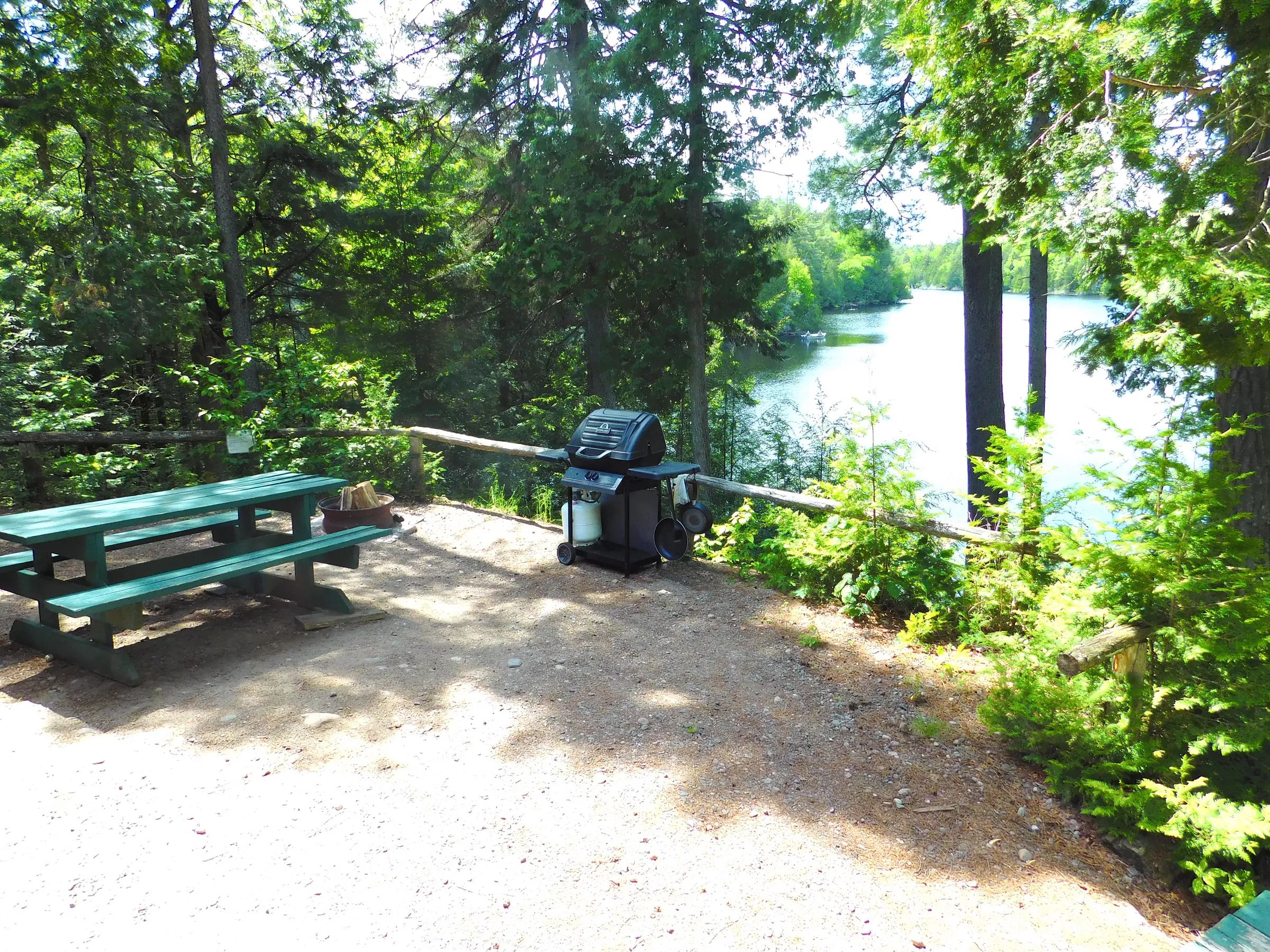 A picnic table and a barbecue are set up near the cabin with a view of the lake.