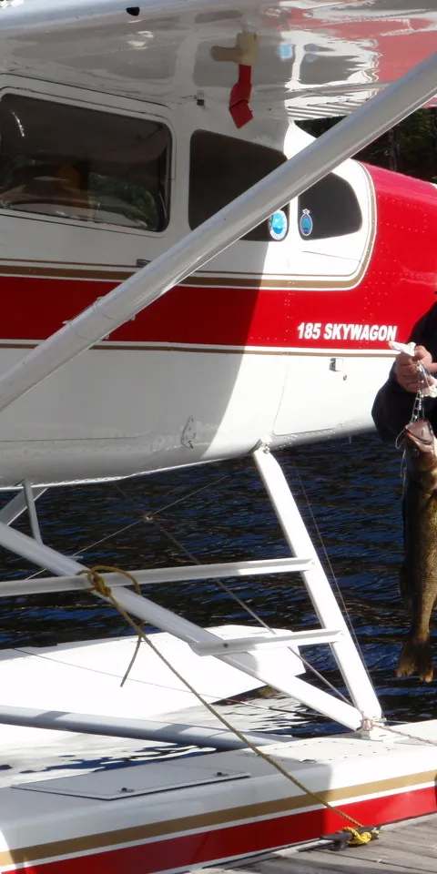 Prise de doré lors d'une sortie guidée chez Pourvoirie du Barrage Gouin et du Magnan, Mauricie, Québec