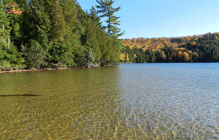 CHALET ALGONQUIN – Pourvoirie la Réserve Boismenu