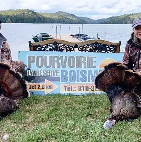Hunting Wild turkey at Pourvoiriela Reserve Boismenu, Laurentides, Quebec