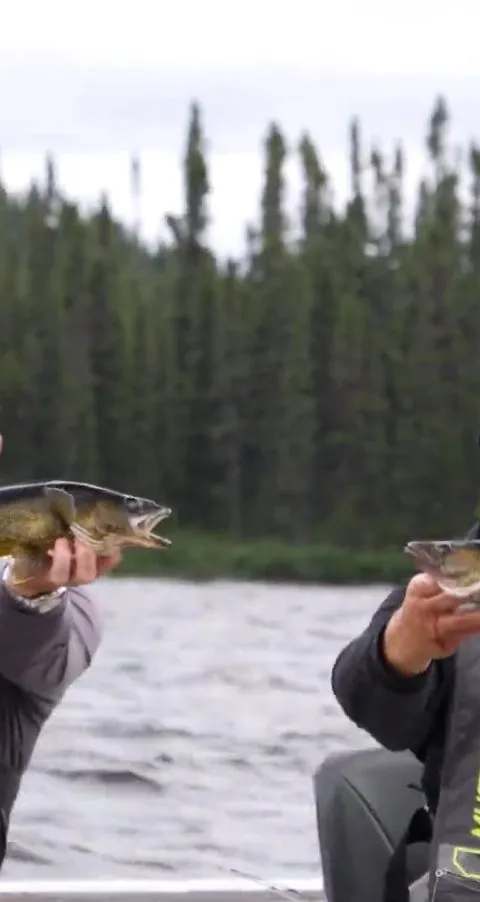 Fishing Walleye at Pourvoirie Broadback, Eeyou Istchee Baie-James, Quebec — photo 4