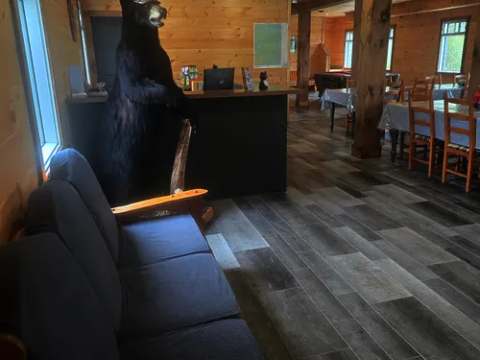 Espace de détente et coin réception dans le pavillon principal avec son ours naturalisé.