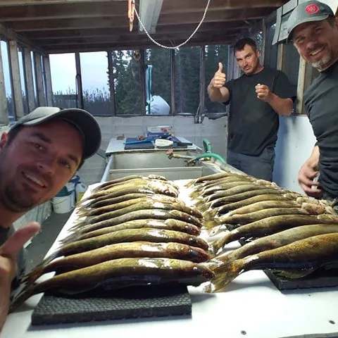 Doré capturé sur les lacs du Camp Cooper chez Pourvoirie Camp Cooper, Eeyou Istchee Baie-James, Québec