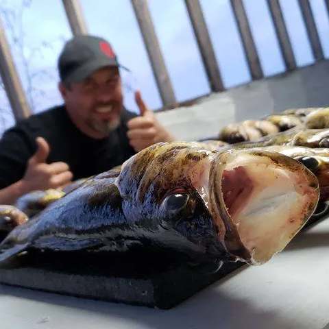 Belle journée de pêche en embarcation chez Pourvoirie Camp Cooper, Eeyou Istchee Baie-James, Québec