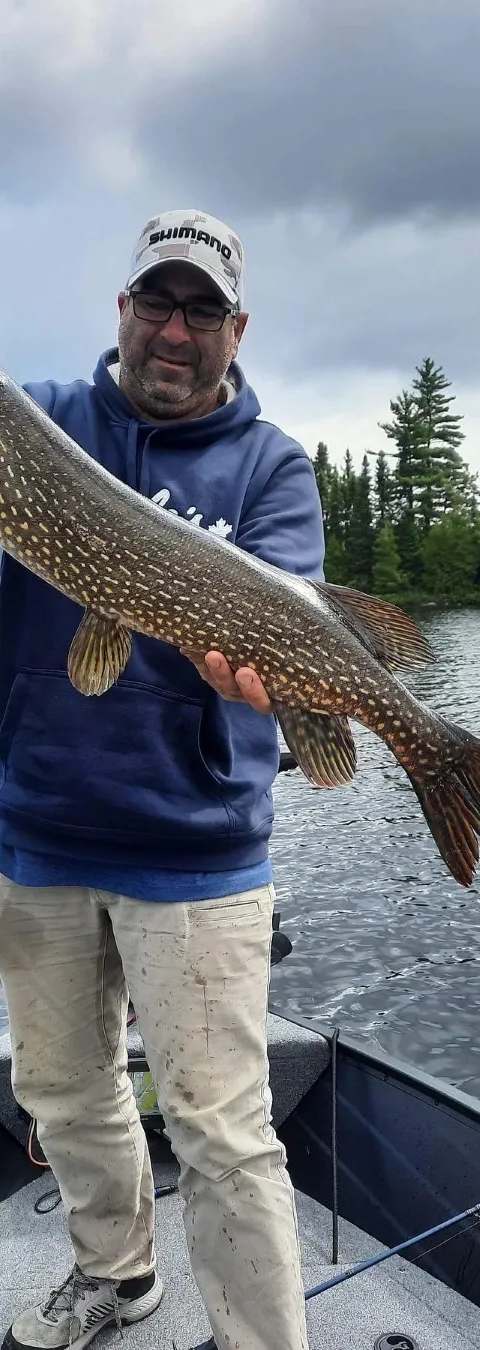 Belle prise de pêche sur le lac Kipawa chez Pourvoirie Chalets Diane, Abitibi-Témiscamingue, Québec