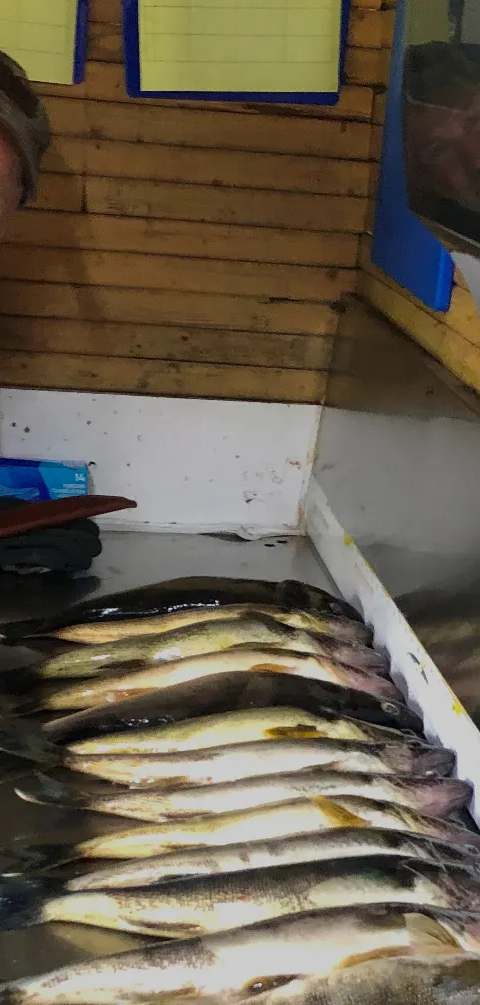 Pêcheur à bord d'une chaloupe sur le lac chez Pourvoirie Chibougamau, Saguenay-Lac-Saint-Jean, Québec
