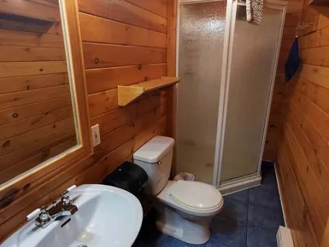 La salle de bain du chalet dispose d'une douche fermée, d'un lavabo et d'une toilette.